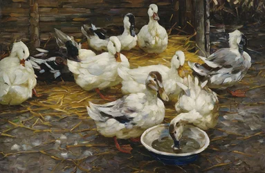 Ducks in Straw